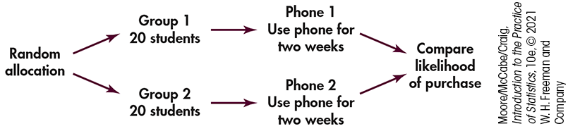 A flowchart outline of a comparative experiment.