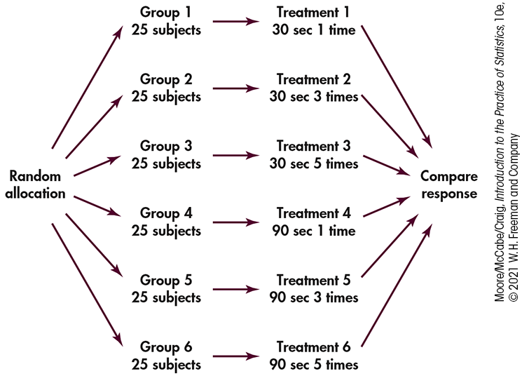 A flowchart outline of a comparative experiment.