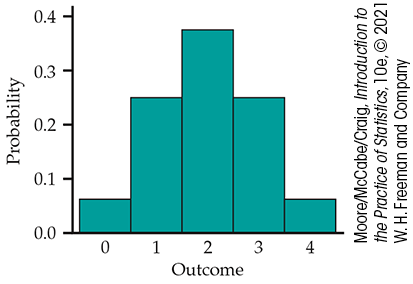 A probability histogram.