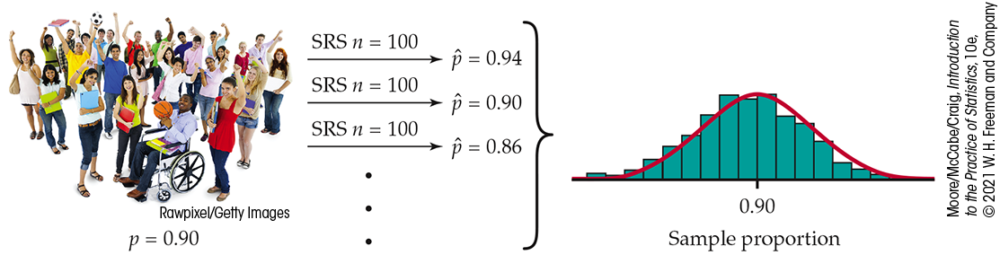 A diagram of a sampling distribution and a histogram.