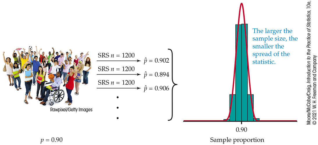 A diagram of a sampling distribution and a histogram.