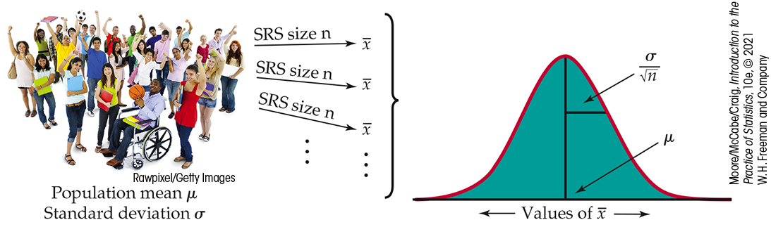 A diagram of a sampling distribution and a normal distribution curve.