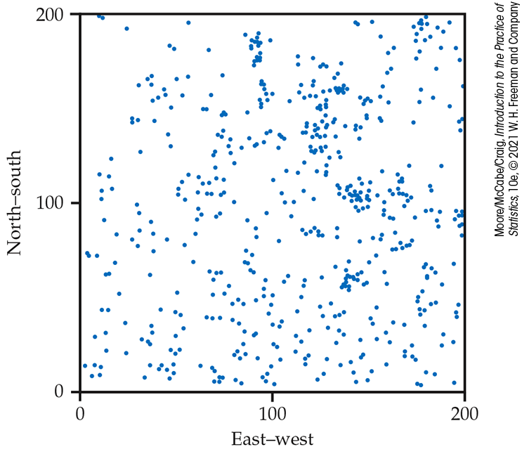 A scatterplot of pine tree distribution.