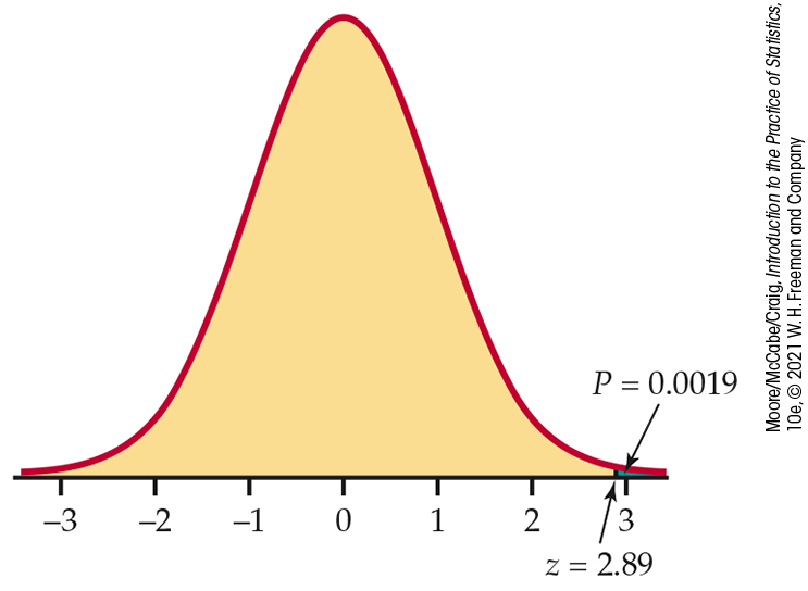 A normal distribution curve.